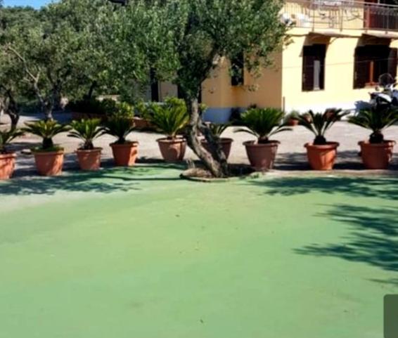 Appartement Casale I Tre Diamanti à Massa Lubrense Extérieur photo