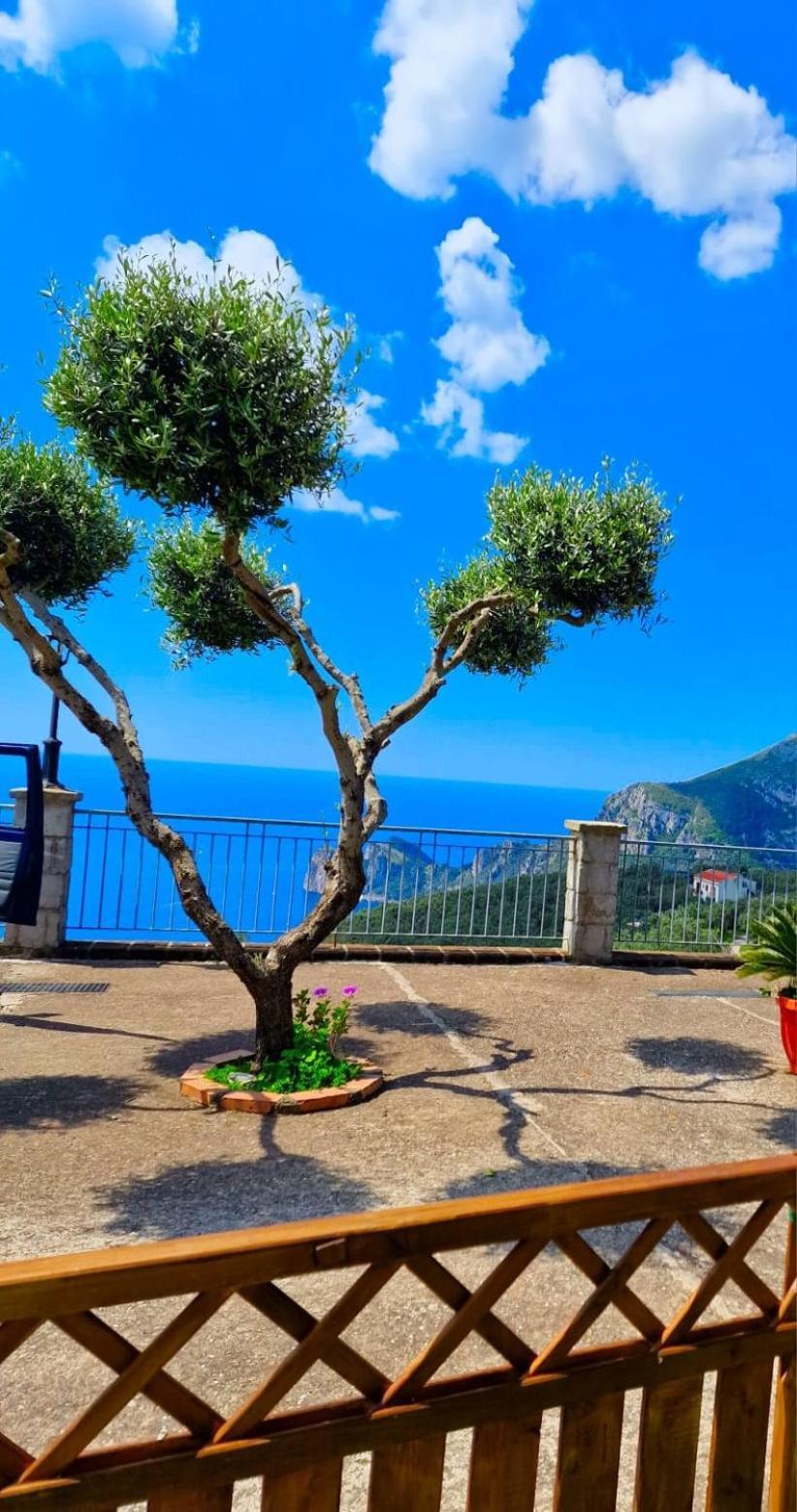 Appartement Casale I Tre Diamanti à Massa Lubrense Extérieur photo